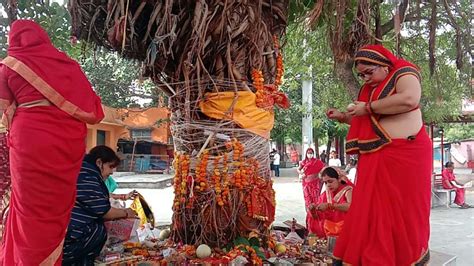 Vat Savitri Vrat 2023 Date कब है वट सावित्री व्रत जानें शुभ मुहूर्त