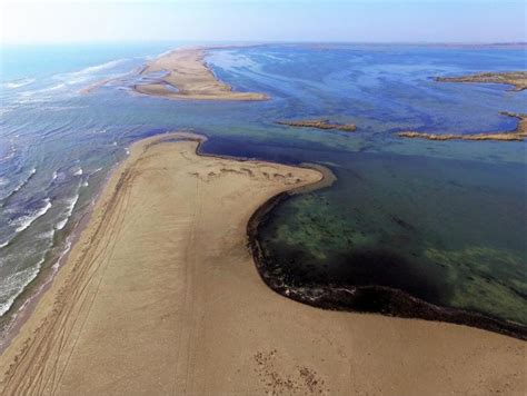 La Regressi Del Delta Posa En Perill Els Calaixos De Buda L M Acn