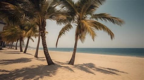 Premium Photo Palmy Trees And A Sandy Beach Create A Blissful Ambiance