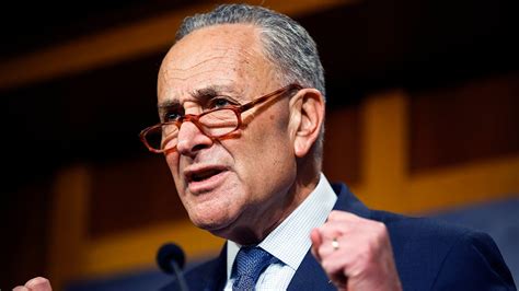 DNC convention speakers: What to know about Sen. Chuck Schumer | Fox News