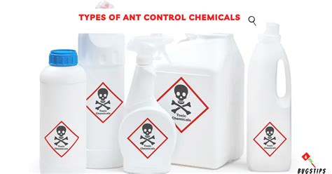 What Chemicals Do Exterminators Use for Ants? 14 Powerful Ant Control ...