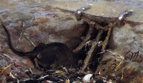 Rat In The Gutter Painting Adolph Von Menzel Oil Paintings