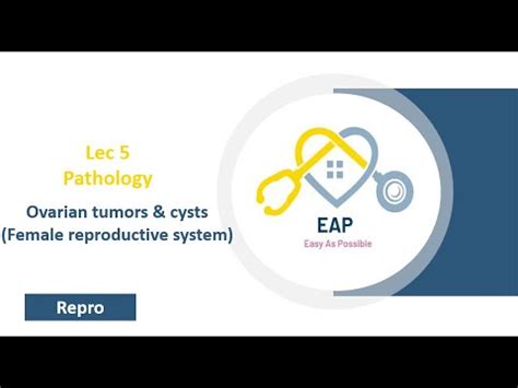 Lec 5 Patho Ovarian Tumors Cysts Female Reproductive System