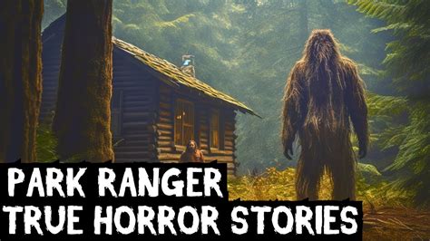 2 Hours Of True Disturbing Park Ranger Horror Stories Told In The Rain