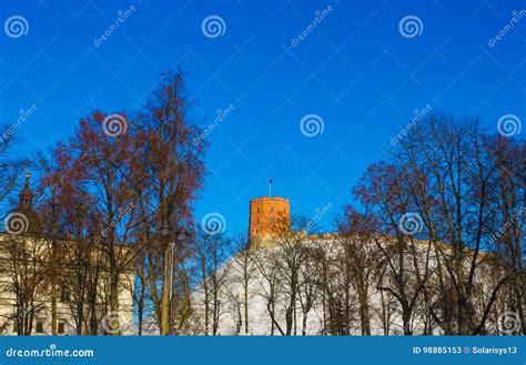 View on Gediminas Tower on the Castle Hill in the Old Town of Vilnius ...