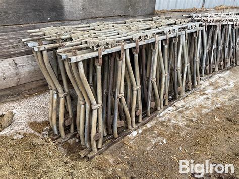 Dairy Feed Headlocks Bigiron Auctions