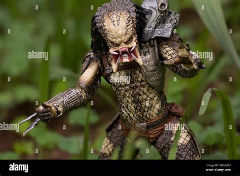 Predator (Yautja) figure close-up, design from Neca Stock Photo - Alamy