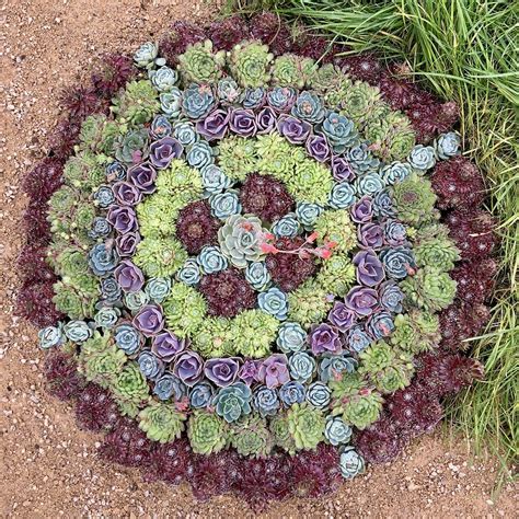 RHS Chatsworth’s Mandala Mindfulness Garden – Susan Rushton