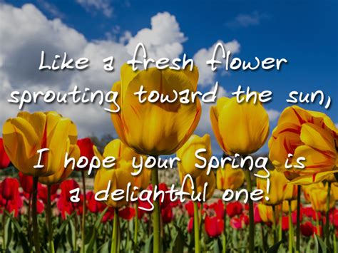 Wishing You A Truly Wonderful Spring