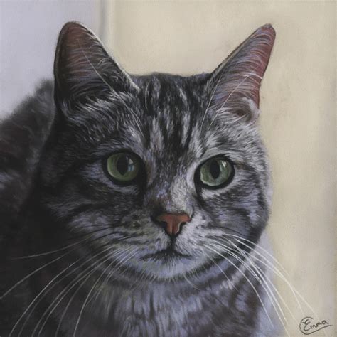 Grey Tabby Cat - Emma Colbert - Artist and Illustrator from Northern Ireland