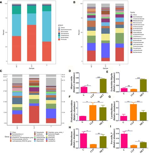 Frontiers Metformin Mitigates Sepsis Related Neuroinflammation Via