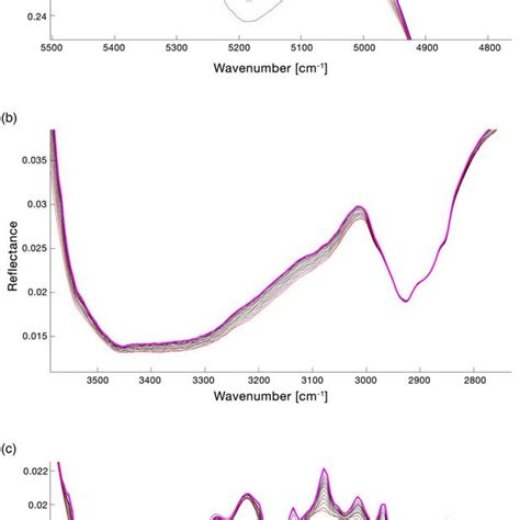 Ftir Reflectance Spectrum Of Xanthoria Parietina After Min Of Uv