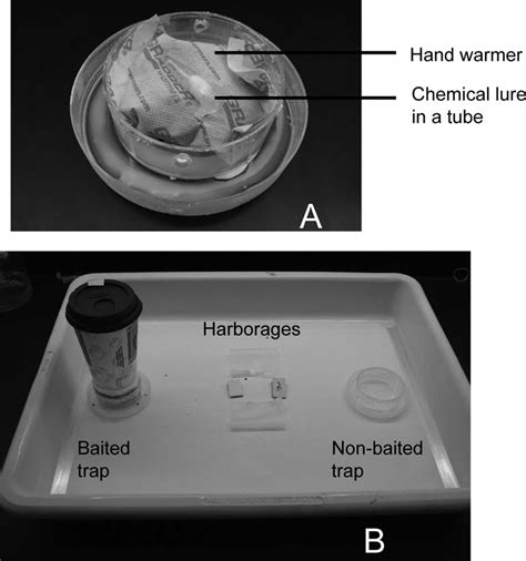 Experimental Setup For Evaluating Bed Bug Attraction To Baited Pitfall