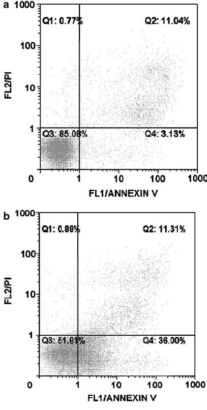 Flow Cytometric Analysis Of Apoptotic Cells Using Annexin Vpi Double