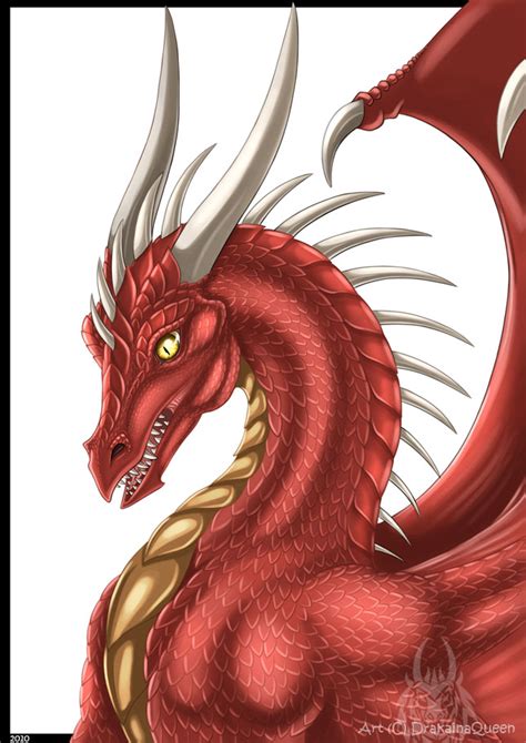 Curious Red Dragon By Drakainaqueen On Deviantart