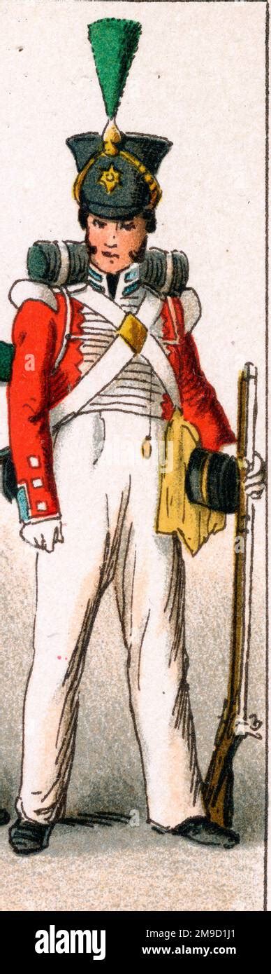 British Foot Soldier Napoleonic Period Rifleman Stock Photo Alamy
