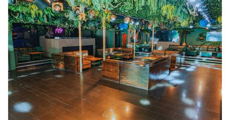 Jungle Nightclub Rebirth Of A Hollywood Dance Music Mainstay