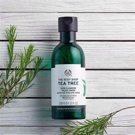 Tea Tree Skin Clearing Facial Wash Sabina