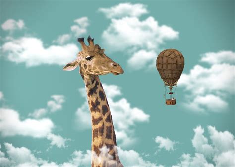 Giraffe Hot Air Balloon Free Photo On Pixabay