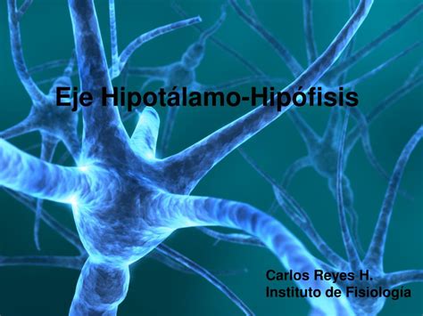 PPT Eje Hipotálamo Hipófisis PowerPoint Presentation free download