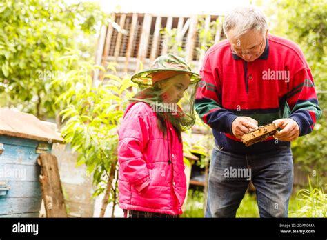 Grand P Re Apiculteur Exp Riment Enseigne Sa Petite Fille S Occuper