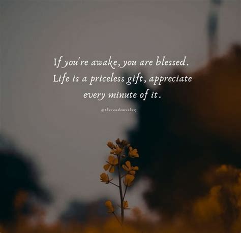 70 Appreciate Life Quotes And Sayings To Inspire Gratefulness