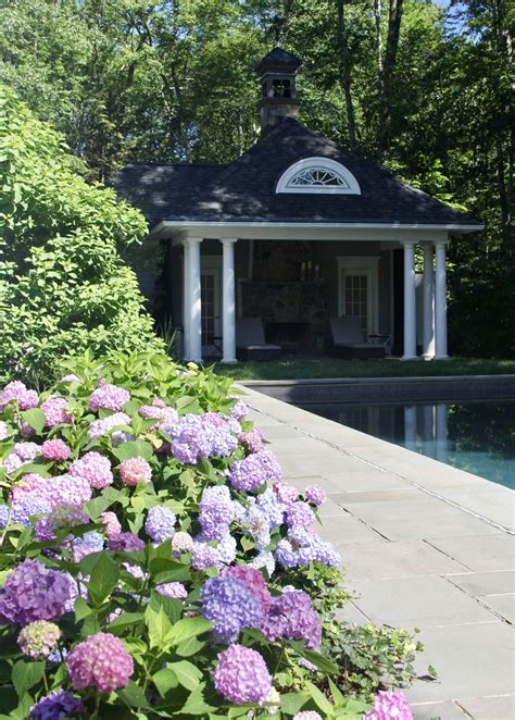 Lovely Endless Blue Hydrangeas | Blue hydrangea, Hydrangea, Lovely