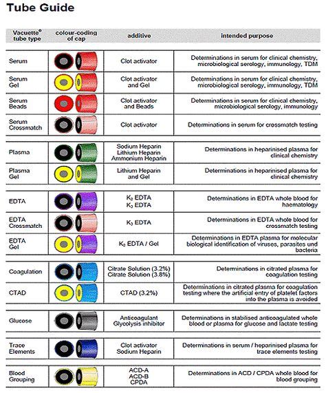 8 Extras ideas | order of draw, phlebotomy, phlebotomy study
