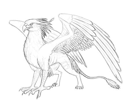 Gryphon Drawing At Explore Collection Of Gryphon