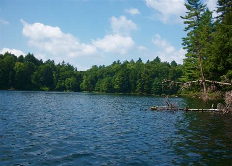 St Regis Canoe Area Pond Hopping Ny Ski Blog