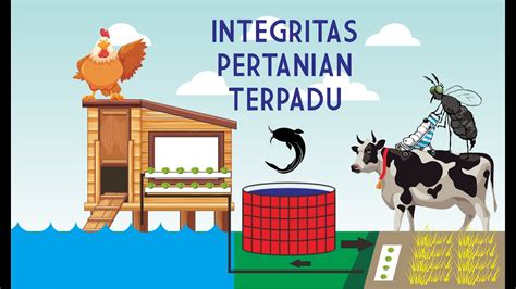 Contoh Sistem Pertanian Terpadu Homecare