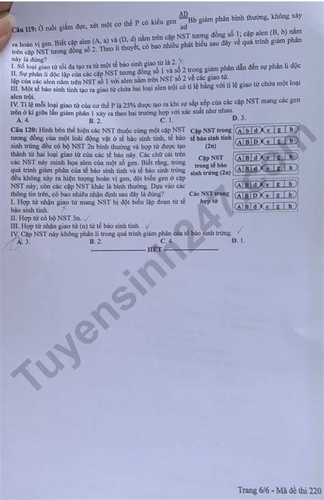 Đáp án Môn Sinh Học Mã đề 220 223 224 Kỳ Thi Tốt Nghiệp Thpt 2024