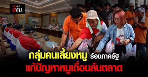 กลุ่มเกษตรกร ผู้เลี้ยงหมู ร้อง ภาครัฐ แก้ปัญหา หมูเถื่อน ล้นตลาด อีจัน