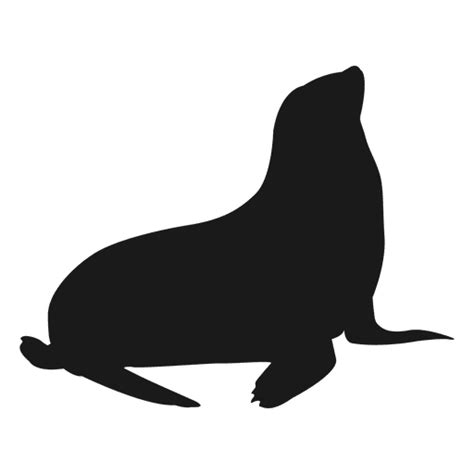 Sea Lion Silhouette PNG & SVG Design For T-Shirts