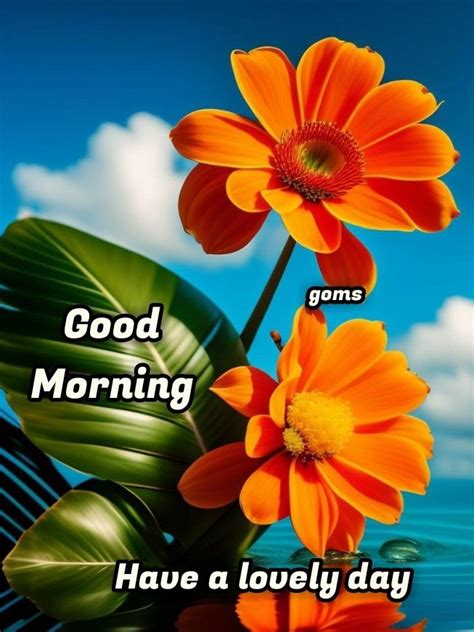 Pin By Ani Mish On Good Morning Good Morning Flowers Morning