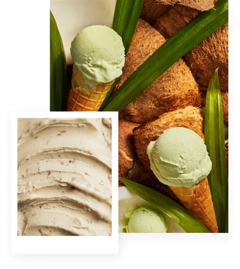 Giới thiệu Naked Flavors