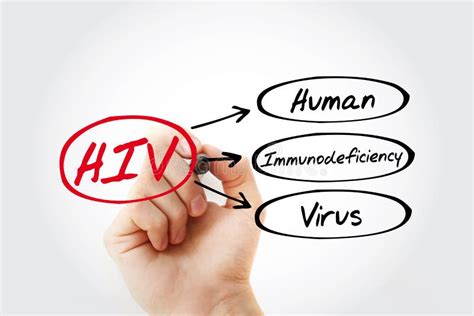 HIV Human Immunodeficiency Virus Acronym Stock Illustration