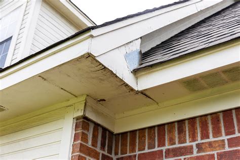 Soffit Repair Cost 2024 Averages