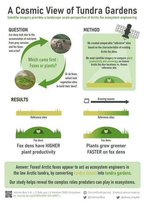 Phosphorus Cycle In Desert