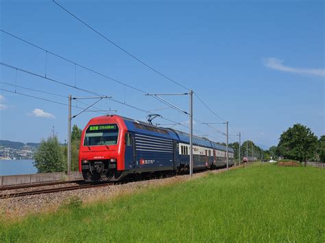 Re Dpz Der Sbb Zwischen Horgen Und Au Zh