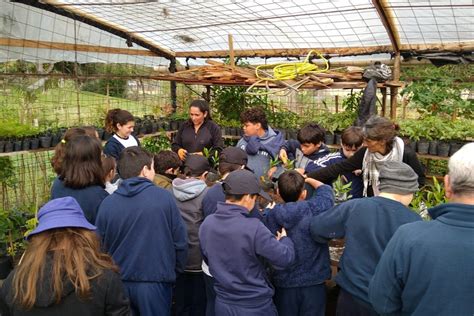 Se Retoman Las Visitas Educativas Al Vivero Municipal De Rboles