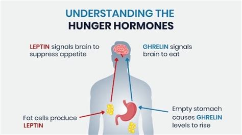 How To Mimic GLP 1 For Steady Weight Loss GoH