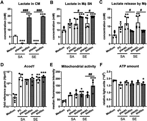 Murine Macrophage Cell Line Raw Atcc Bioz