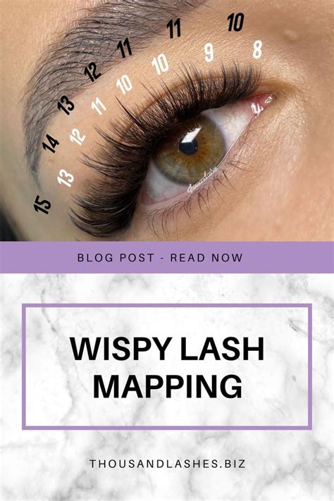 Wispy Lash Mapping Wispy Lash Extension Is A Technique Where A Handmade