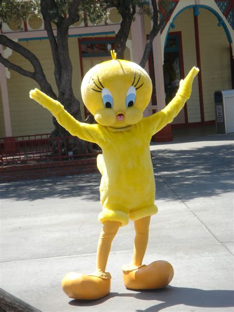 Tweety Bird | Costumed Characters Wiki | Fandom