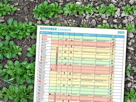 Setveni koledar 2025 in vrtna opravila za november - Zeleni svet