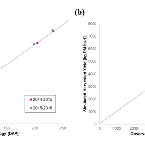 Comparison Between Observed And Simulated Phenology A And Harvested