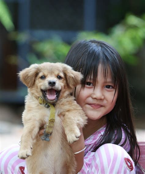 Little Girl Puppy Outdoors Free Photo On Pixabay