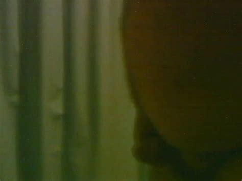 Fat Guy Small Dick Gay Man Porn Xhamster