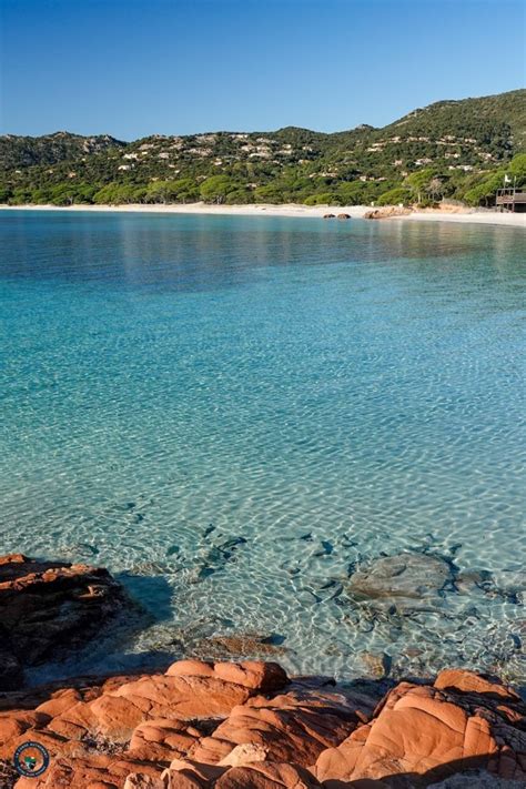 La Plage De Palombaggia En Corse Porto Vecchio Artofit